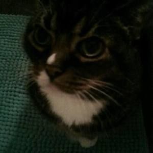 Meet your Posher, Catherine